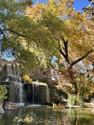 ABQ BioPark - Botanic Garden by null