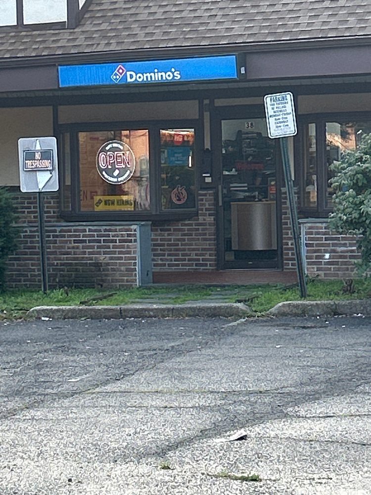Domino's Pizza Logo