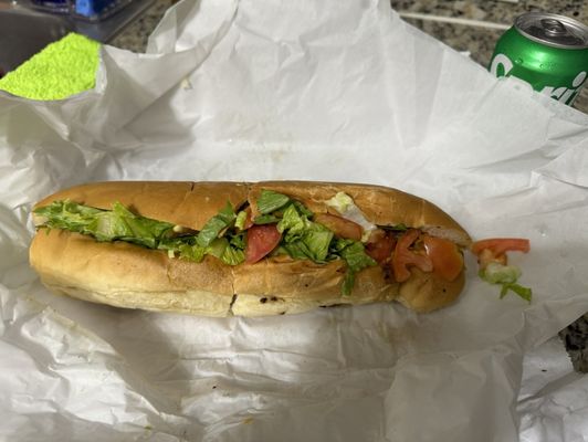 Substantial Subs by null