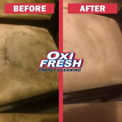 Oxi Fresh Carpet Cleaning