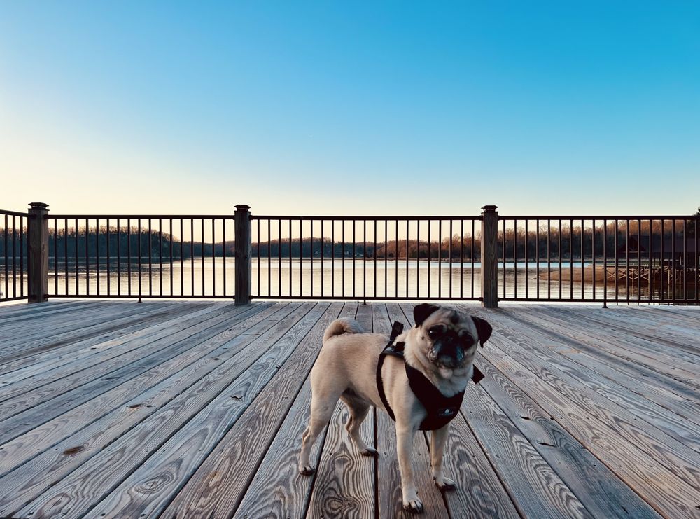 UT VETERINARY MEDICAL CENTER Updated October 2024 25 Photos & 30