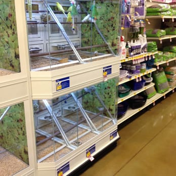 PetSmart Dog Training - Birds living too low to the floor without high up places :( - Pet Stores Near Me - Oxnard, California