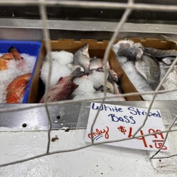 MARKET FISHERIES - Updated July 2026 - 41 Photos & 73 Reviews