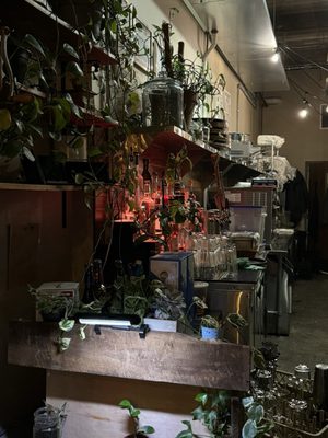 The Greenhouse Cafe & Cocktail Lounge by null