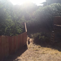 Not a great picture but this is my collie, finally enjoying her back yard now that we have defined our space. Thank you Bart! Not a great picture but this is my collie, finally enjoying her back yard now that we have defined our space. Thank you Bart!