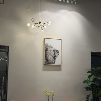 Rose Tea House - Coffee & Tea Near Me - Pearland, Texas Rose Tea House - Coffee & Tea Near Me - Pearland, Texas
