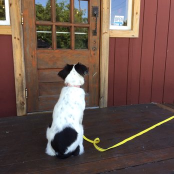 Cherry's Natural Foods - Willow waiting for her smoothie - Cafes Near Me - Clermont, New Jersey
