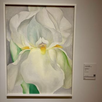 Museu Nacional Thyssen-Bornemisza - Museums Near Me - Madrid, M