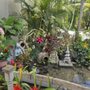 Photo of A Heavenly Garden