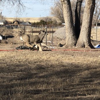 Tow To The Rescue - Towing Near Me - Eagar, Arizona