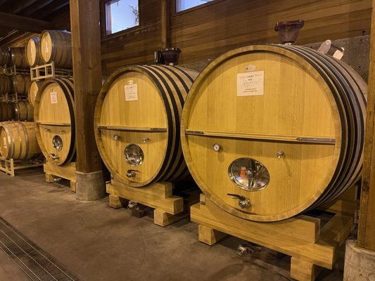 Seghesio Family Vineyards by null