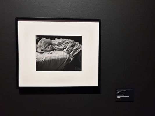 Moderna Museet by null