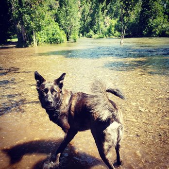 Braeburn Dog Park - Dog Parks Near Me - Rapid City, South Dakota