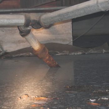 The House Whisperer - Water in crawlspace - Home Inspectors Near Me - Livermore, California The House Whisperer - Water in crawlspace - Home Inspectors Near Me - Livermore, California