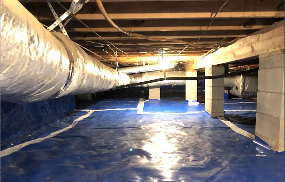 Carolina Mold Solutions - mold inspector in Charleston, SC