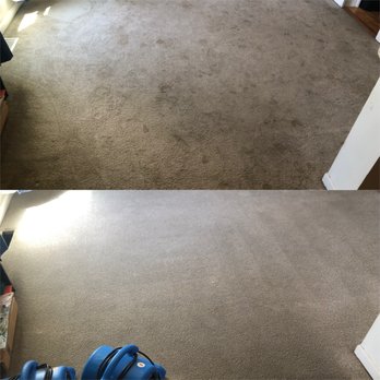 Stain Blaster - Pet stain removal - Carpet Cleaning Near Me - Jefferson, Pennsylvania