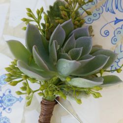 Blooms - Succulent boutonniere.