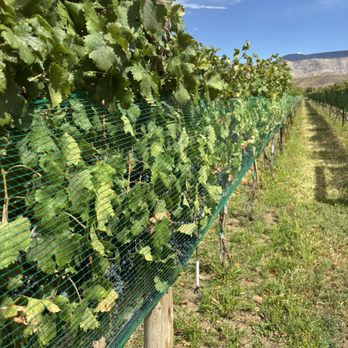 Restoration Vineyards - Wine Tasting Room Near Me - Palisade, Colorado