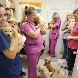 County Seat Veterinary Hospital - Sarah Stewart DVM