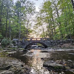 Vaughan Woods - Trail over a bridge leading to small waterfall