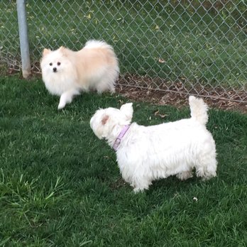 Phoenix Park - Having fun - Parks Near Me - Fair Oaks, California