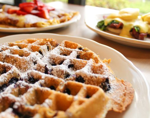 The Original Pancake House Norco by null