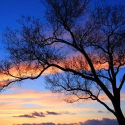 Peaceful Separations