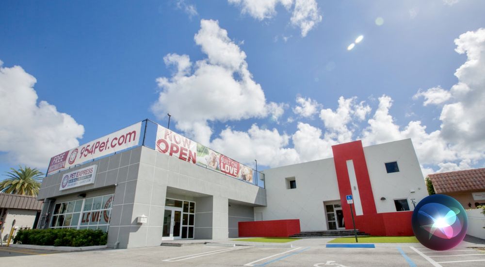 PET EXPRESS ANIMAL HOSPITAL Updated September 2024 40 Photos & 76