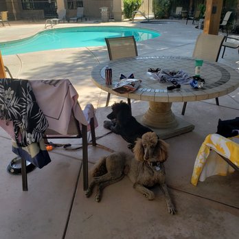 Bakersfield River Run - Relaxing Pool - RV Parks Near Me - Bakersfield, California