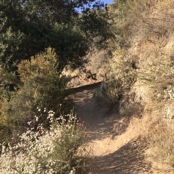 Echo Mountain via the Sam Merrill Trail - Parks Near Me - Altadena, California