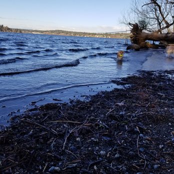 Magnuson Park Off-Leash Area - Dog Parks Near Me - Seattle, Washington