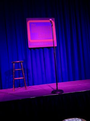 The Comedy Studio by null