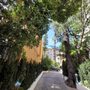 Photo of Hotel Oasis