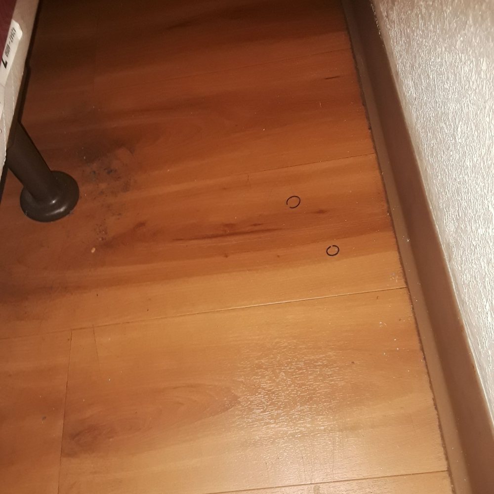 Look at floor where bed stand sits, it's very dirtu. This room was not swept this was on floor.