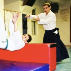 Cultural School
