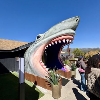 Tropicali - Entrance. - Hawaiian Near Me - Big Bear Lake, California