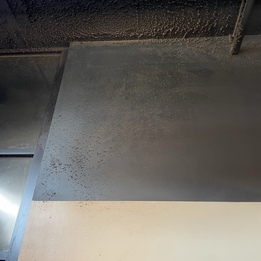 Bronze Tan - Wall and ceiling - Spray Tanning Near Me - Clayton, Missouri Bronze Tan - Wall and ceiling - Spray Tanning Near Me - Clayton, Missouri