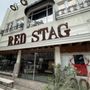 Photo of Red Stag