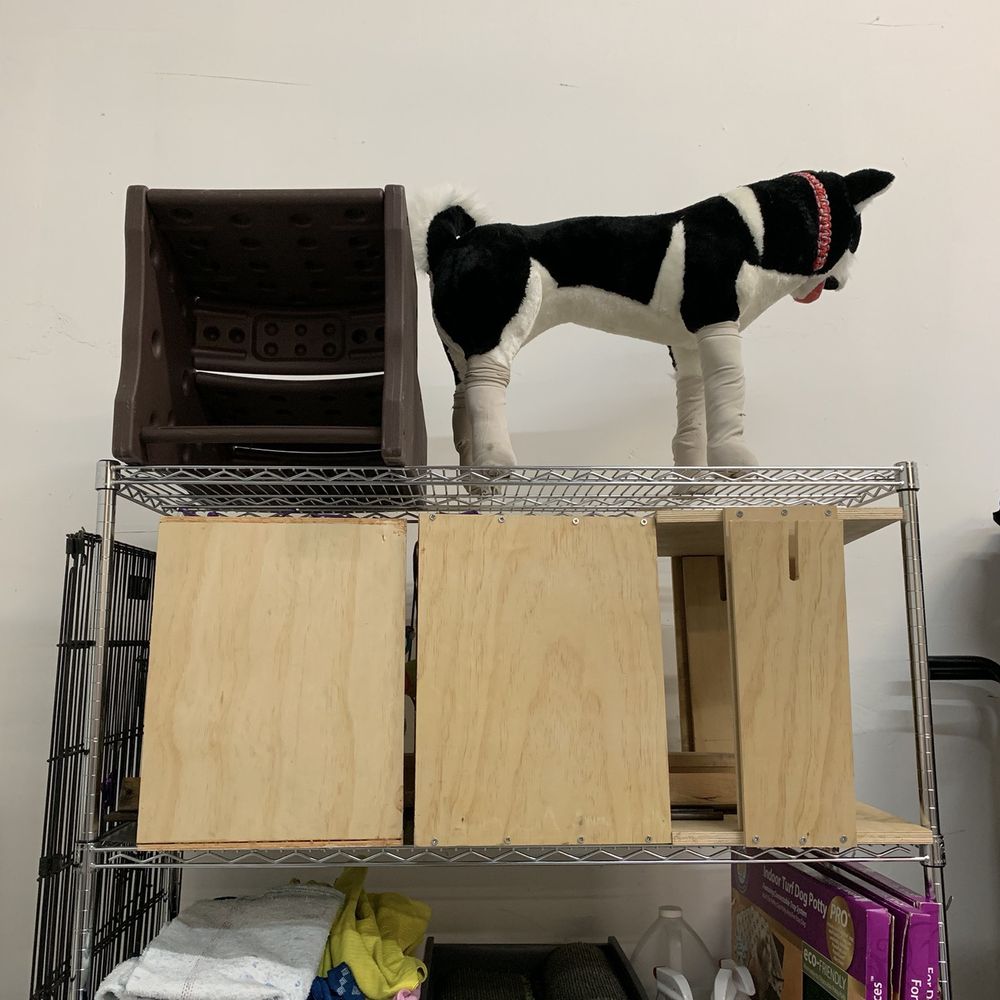 More Time For You - Organization of dog training studio - Home Organization Near Me More Time For You - Organization of dog training studio - Home Organization Near Me