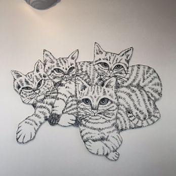 Cat Town - Animal Shelters Near Me - Oakland, California