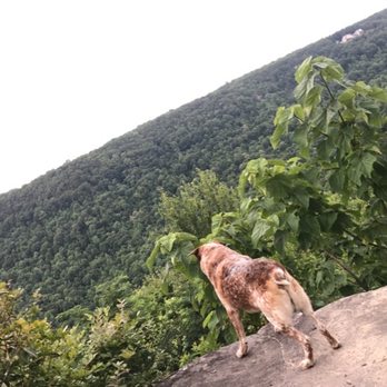 Bigfoot Adventure - Lookout - RV Parks Near Me - Tracy City, Tennessee