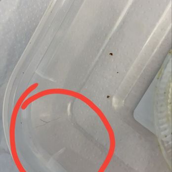 Meals by Mel - A piece of the hair that was in the food - Food Delivery Services Near Me