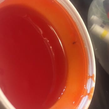 Tokyo - Bug I found in my sweet and sour. - Japanese Near Me - Tampa, Florida Tokyo - Bug I found in my sweet and sour. - Japanese Near Me - Tampa, Florida