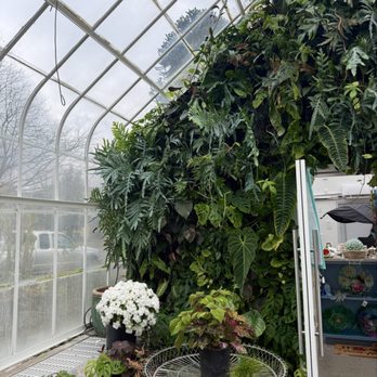 W W Seymour Conservatory - Botanical Gardens Near Me - Tacoma, Washington W W Seymour Conservatory - Botanical Gardens Near Me - Tacoma, Washington
