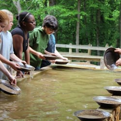 Panning for gold at Crisson