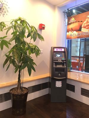 Spring Garden Spa 30 Ann St by null