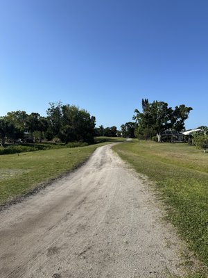 The Palms Golf Club at Forest Lakes