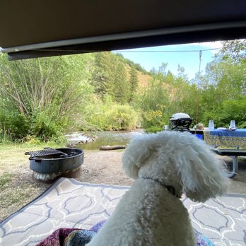 California Bichons - Camping in Utah - Pet Breeders Near Me