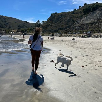 Central Coast: Off Leash K9 Training - Off leash at the dog beach - Pet Training Near Me - Seaside, California Central Coast: Off Leash K9 Training - Off leash at the dog beach - Pet Training Near Me - Seaside, California