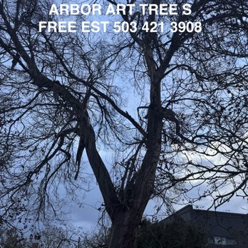 Arbor Art Tree Service - Tree Services Near Me - Portland, Oregon Arbor Art Tree Service - Tree Services Near Me - Portland, Oregon